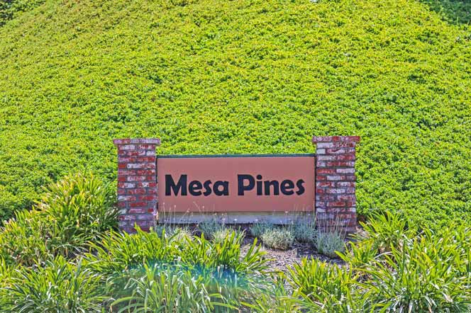 Mesa Pines Homes | Oceanside Real Estate